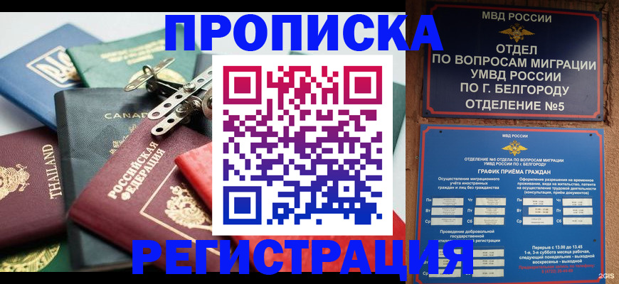 временная регистрация недорого в Михайлове
